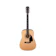 Fender Đàn Guitar Acoustic Dreadnought 1