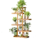 Nội Thất 5C Kệ Cây 6 Tầng Fiori Nội Thất 5C 1