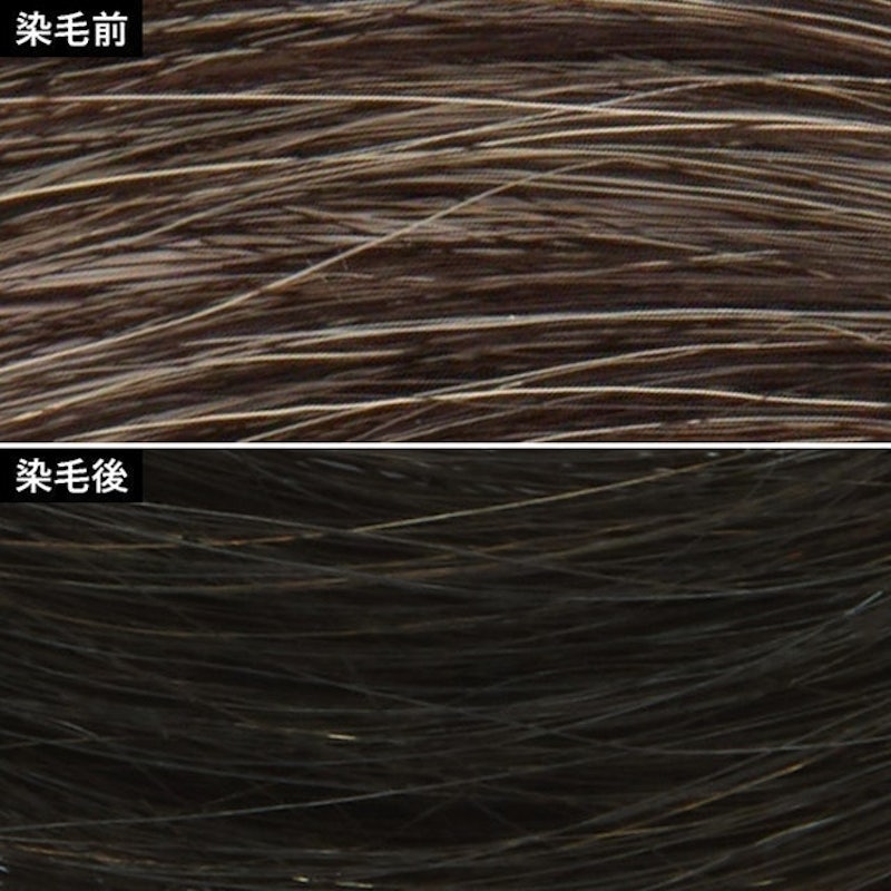Thuốc Nhuộm Tóc Phủ Bạc 3