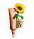Clarins Kem Dưỡng Da Cổ Clarins Extra Firming 1