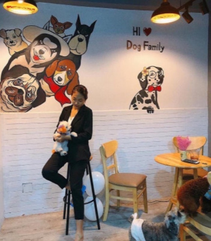 Cafe Thú Cưng Cherry Pet Coffee 1