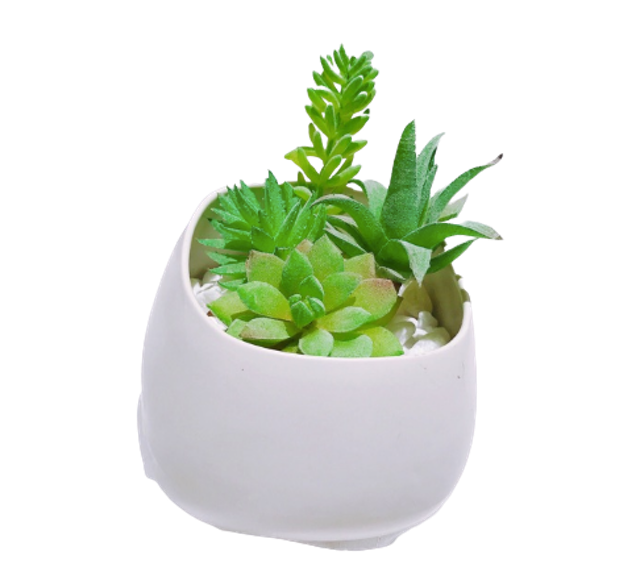 Chậu Men Sứ Lạnh Bát Tràng 1