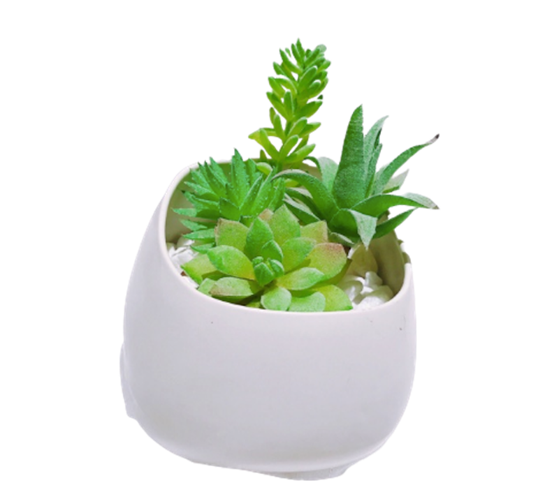 Chậu Men Sứ Lạnh Bát Tràng 1