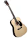 Suzuki Đàn Guitar Dreadnought 1