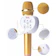 ZBX Micro Karaoke 1