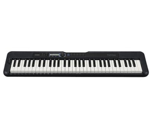 Đàn Organ Cho Bé Casio 2