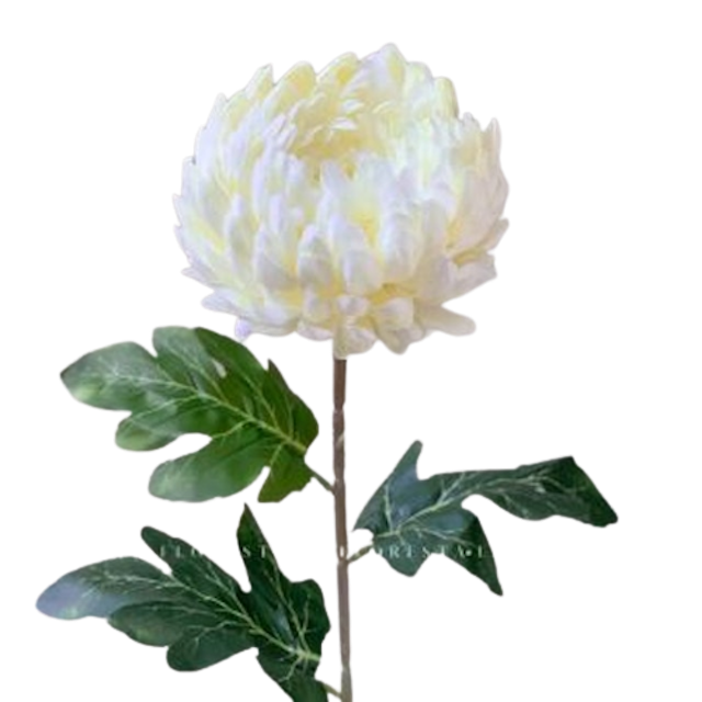 Hoa Cúc Mẫu Đơn Lụa LA FLORESTA 3