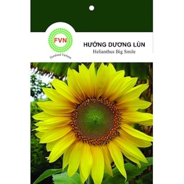 [2024] Top 10 Hạt Giống Hoa tốt nhất hiện nay (Rạng Đông, Phú Nông, FVN) 5