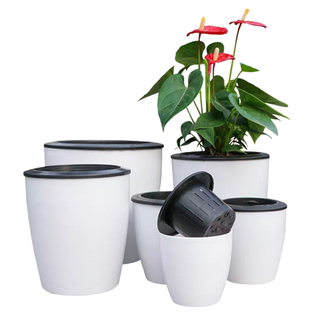 Top 10 Chậu Hoa đẹp nhất hiện nay (Ban Công, Treo Tường, Để Bàn) 4