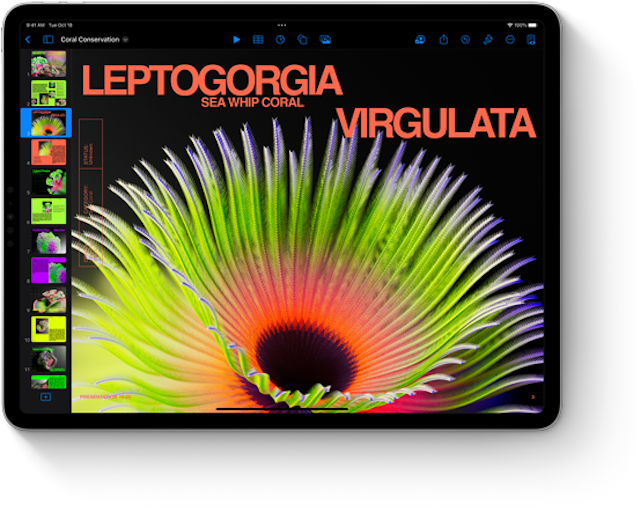Máy Tính Bảng iPad Pro M2 12,9 Inch 5