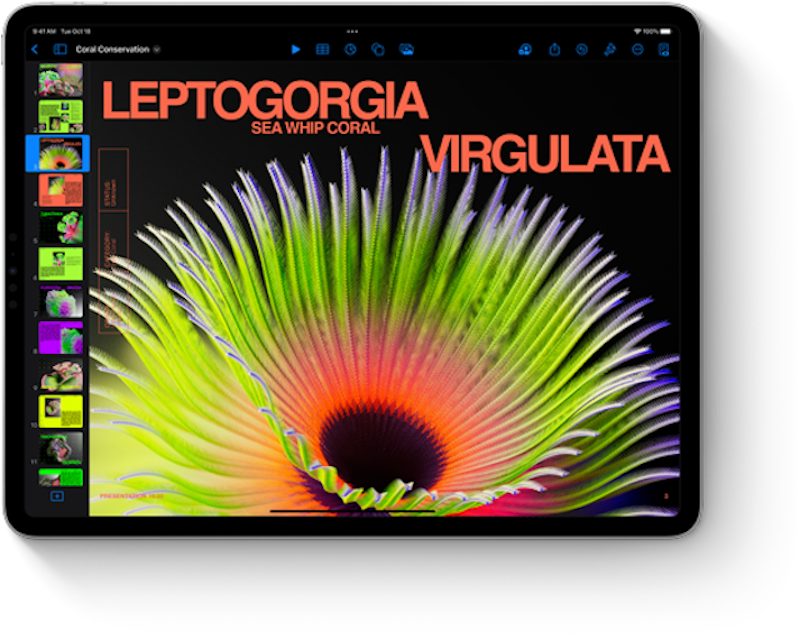 Máy Tính Bảng iPad Pro M2 12,9 Inch 5