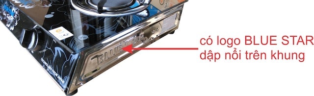Bêp Gas Đôi Hồng Ngoại Bluestar 2