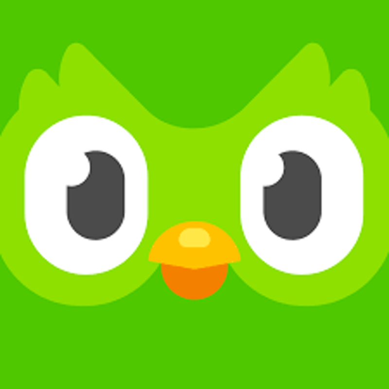 Duolingo - Language Lessons 1