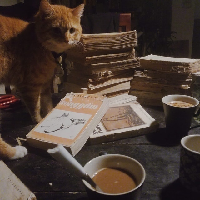 [2024] Top 7 Cafe Mèo đẹp nhất ở Hà Nội (Lizzy House, Ga Kafe, Bastet's Home) 3