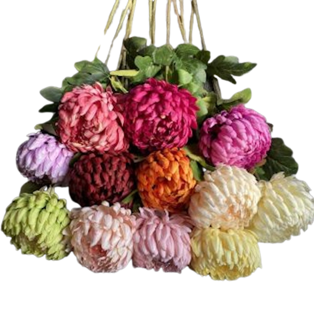 Hoa Cúc Mẫu Đơn Lụa LA FLORESTA 2