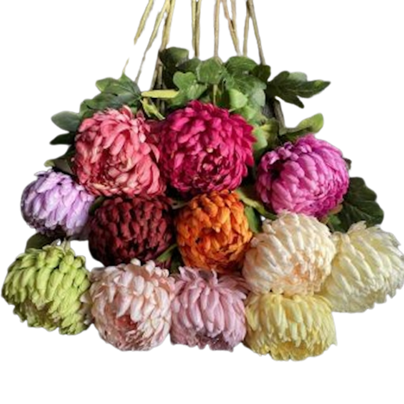 Hoa Cúc Mẫu Đơn Lụa LA FLORESTA 2