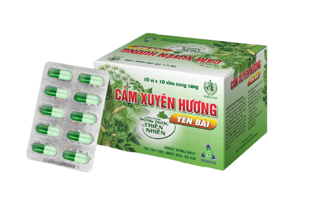 Top 10 Thuốc Cảm tốt nhất hiện nay [Tư Vấn Từ Bác Sĩ] 2