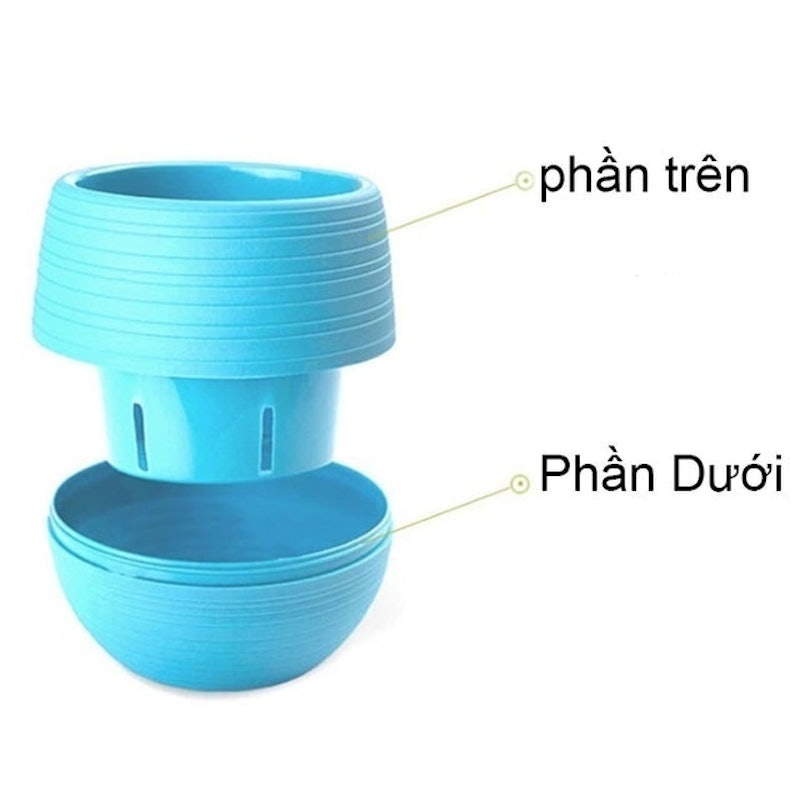 Chậu Hoa 2