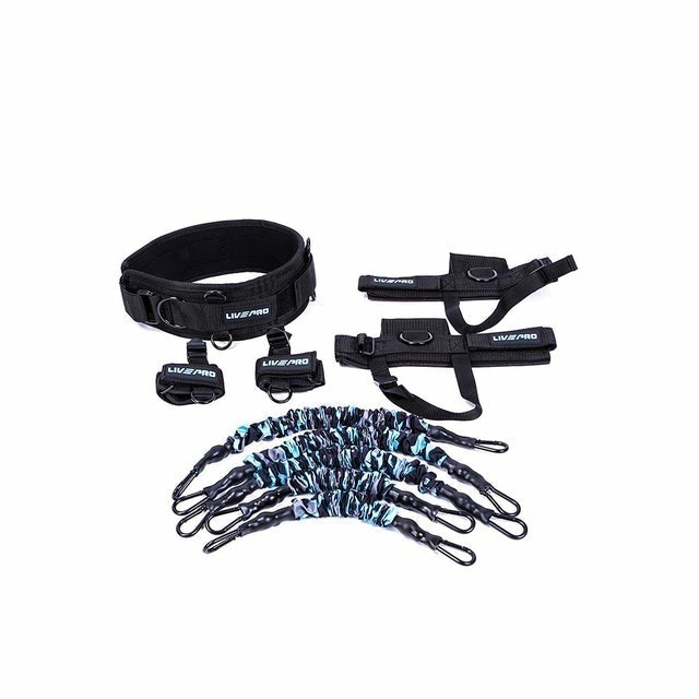 Dây Kháng Lực Livepro 2