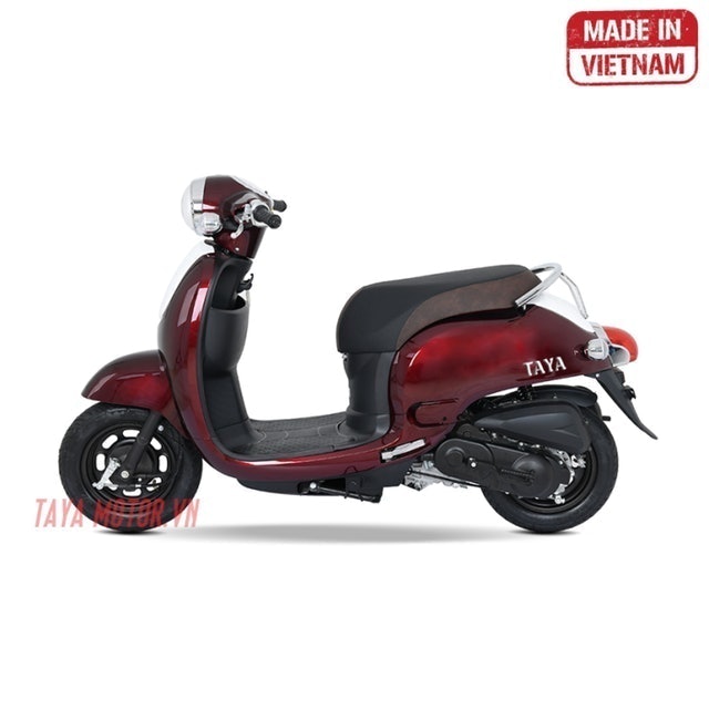 Top 10 Xe Máy 50cc tốt nhất hiện nay (Tư vấn mua 2024) mybest