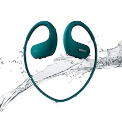 Walkman W Series