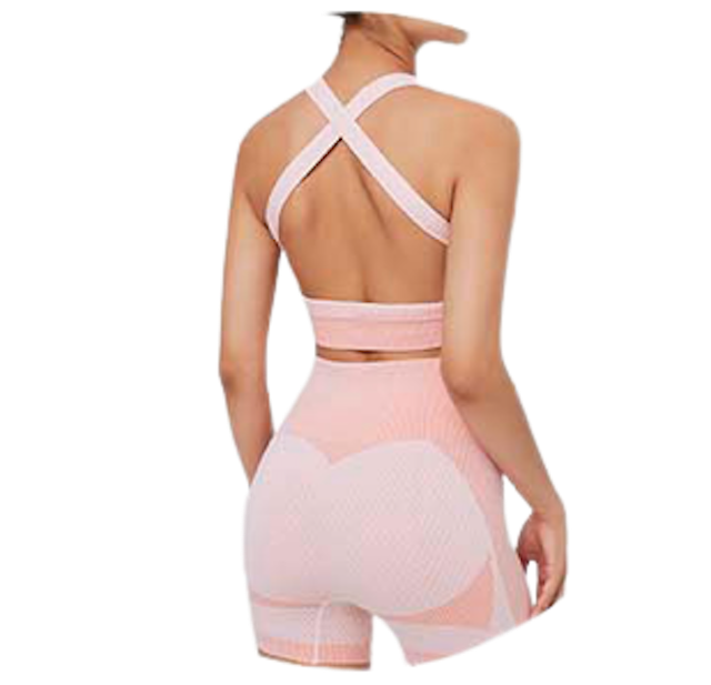 Đồ Tập Gym Nữ Đùi Lovito  2