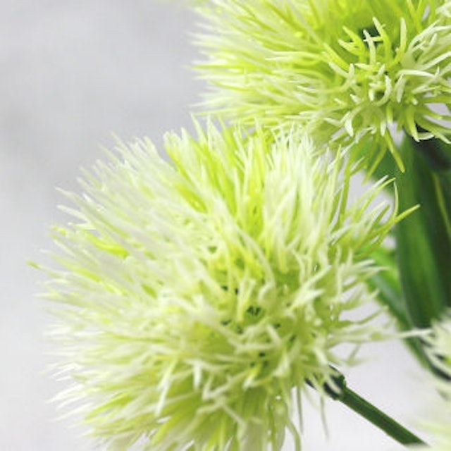 Hoa Bồ Công Anh Giả Bằng Nhựa  2