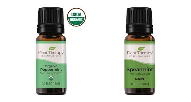 [2024] Top 10 Tinh Dầu Đuổi Muỗi tốt nhất hiện nay (Plant Therapy, Aroma, Kobi) 1