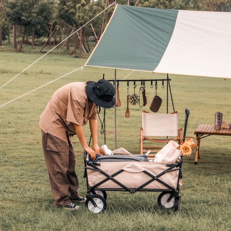 Xe Kéo Hàng Gấp Gọn 3