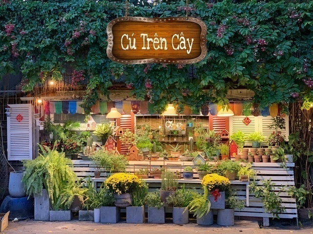 Top 10 Quán Cafe Sân Vườn Đẹp ở Sài Gòn (Cú Trên Cây, Du Miên) 1