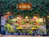 Top 10 Quán Cafe Sân Vườn Đẹp ở Sài Gòn (Cú Trên Cây, Du Miên) 1