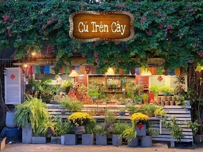 Cú Trên Cây 1
