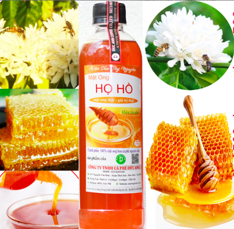 Mật Ong Hoa Cà Phê Nguyên Chất Họ Hồ 1
