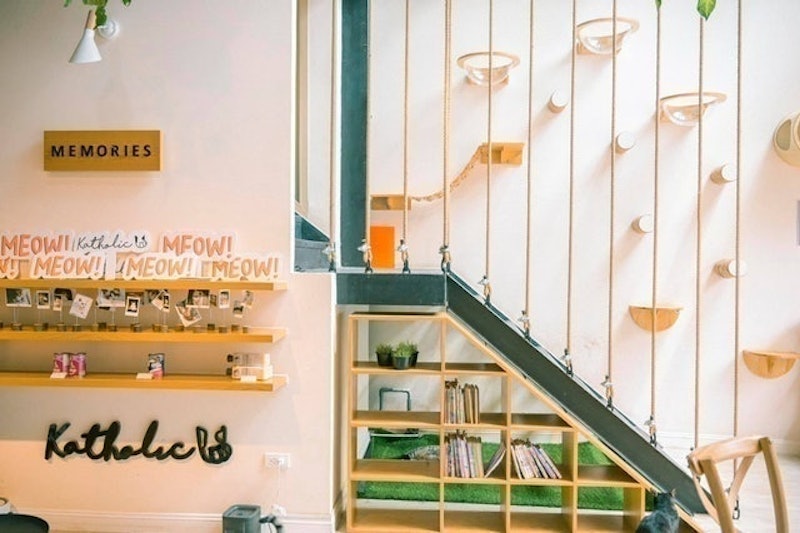 Cafe Mèo Katholic 2