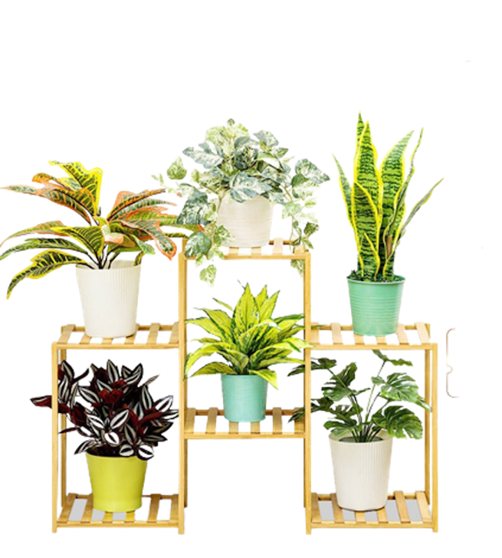 Kệ Để Cây Cảnh Gỗ Tre Vango 1
