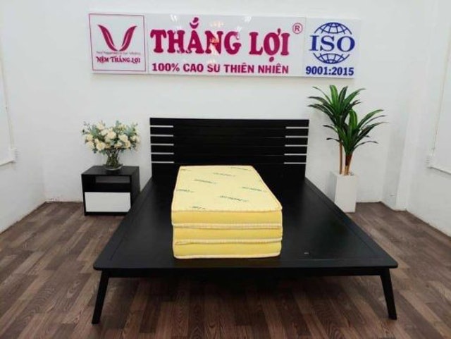 Nệm Gấp 3 Đàn Hồi Tốt Thắng Lợi 3