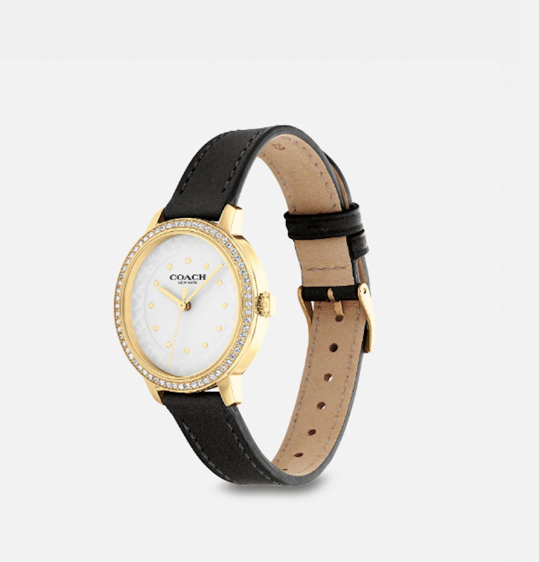 Đồng Hồ Nữ Dây Da Coach Rayden 2