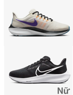 Giày Nike Air Zoom Pegasus 39 2