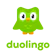 Duolingo App Học Tiếng Anh 1