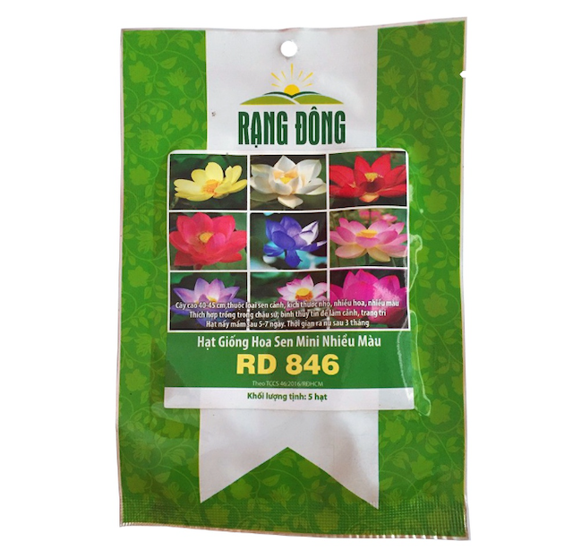 Hạt Giống Hoa Sen Mini Nhiều Màu Rạng Đông 1