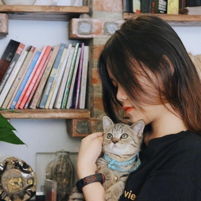 The Shelter - CàPhê 2