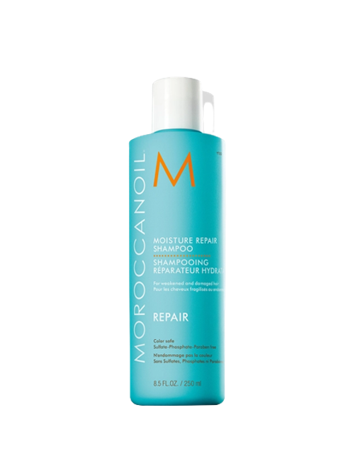Top 10 Dầu Gội Phục Hồi Tóc Hư Tổn tốt nhất hiện nay (TIGI BED HEAD, TSUBAKI, TREsemmé) 3
