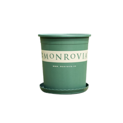 Chậu Nhựa Trồng Cây Monrovia