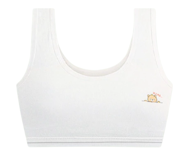 Áo Lá Học Sinh Cao Cấp Little Bear 3