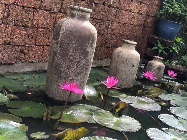 Nhà Hàng Cafe Cổ Gia Quý 2