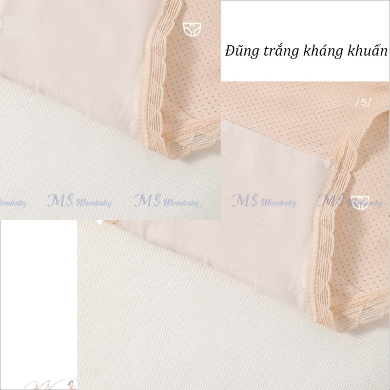 Quần Lót Bầu Cạp Chéo MS Mombaby 2