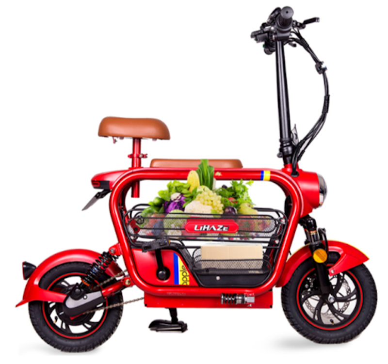 Xe Đạp Điện Lihaze 1