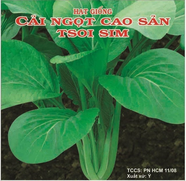 Hạt Giống Cải Ngọt Cao Sản Italia TSOI Phú Nông  1