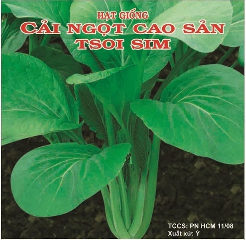 Hạt Giống Cải Ngọt Cao Sản Italia TSOI Phú Nông 1