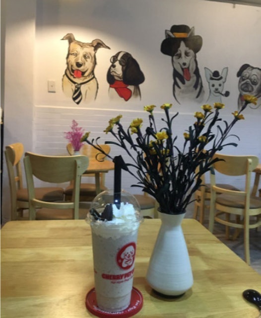 Cafe Thú Cưng Cherry Pet Coffee 3